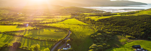 Ierland