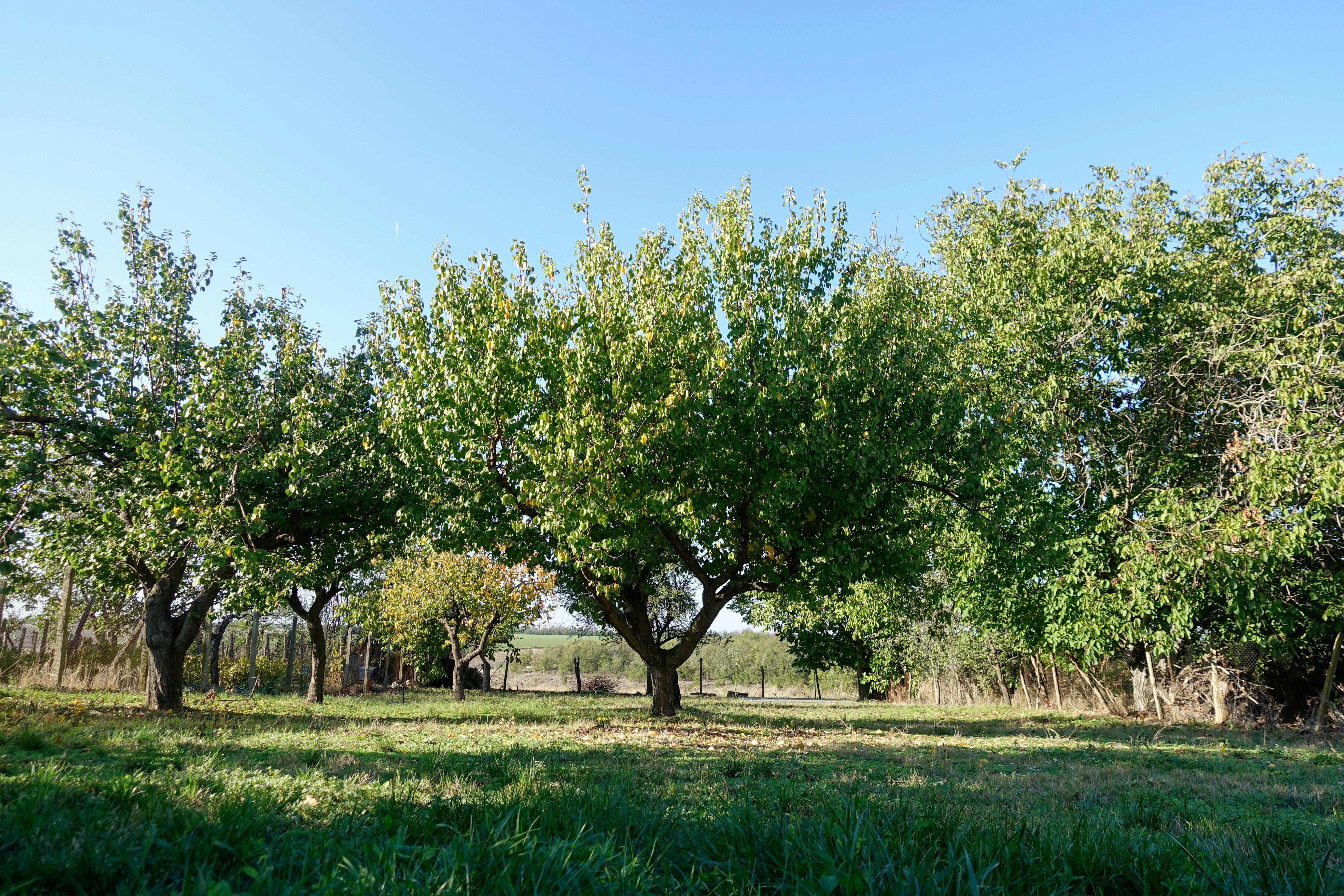 Agropoli &ndash; stad en kust