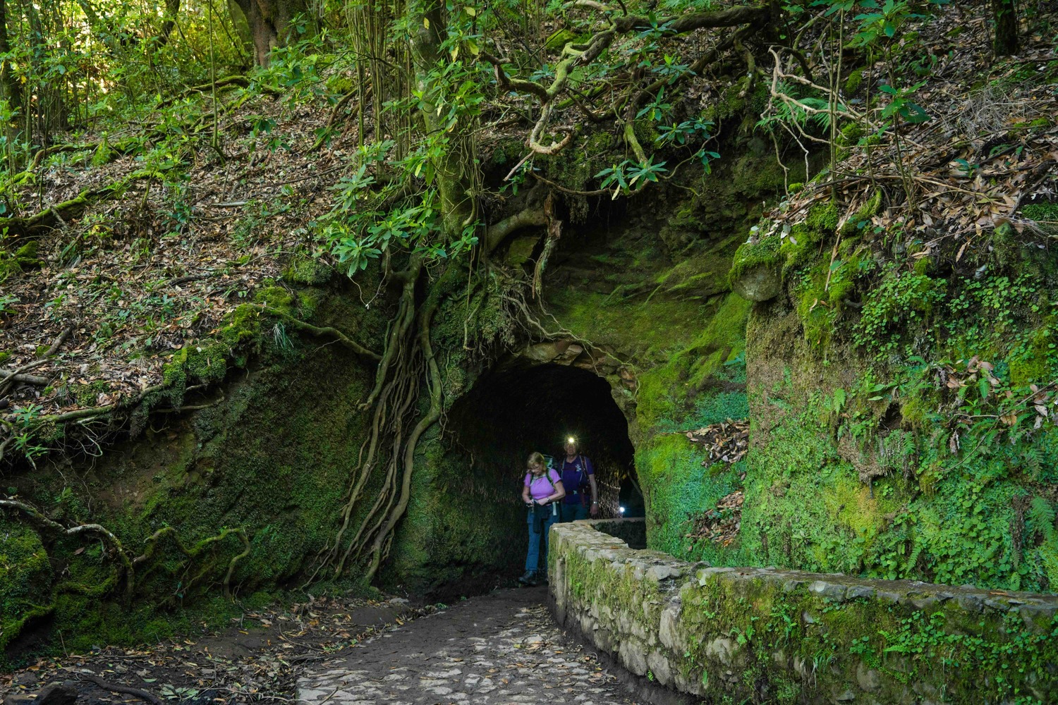 Madeira &ndash; wandelen langs levada