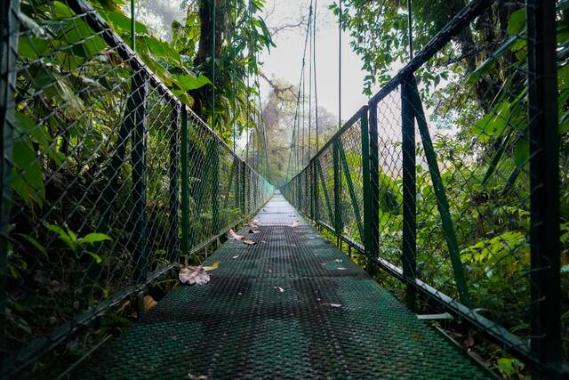 Suspension Bridge La Fortuna