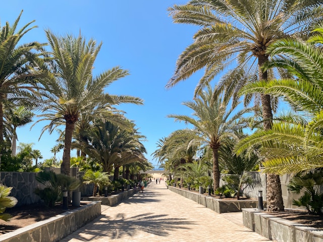 Jachthaven met terrassen