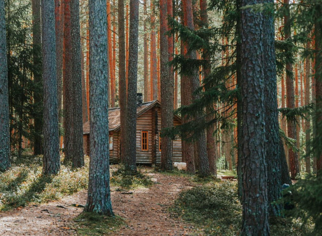 Haven van Câmara de Lobos met bootjes
