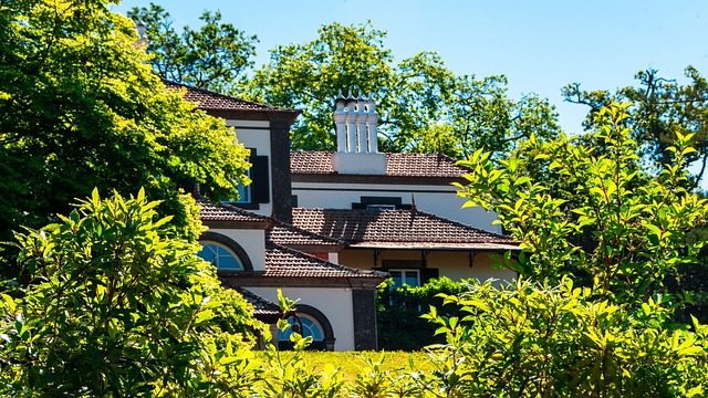 Groen landschap nabij Arco de São Jorge
