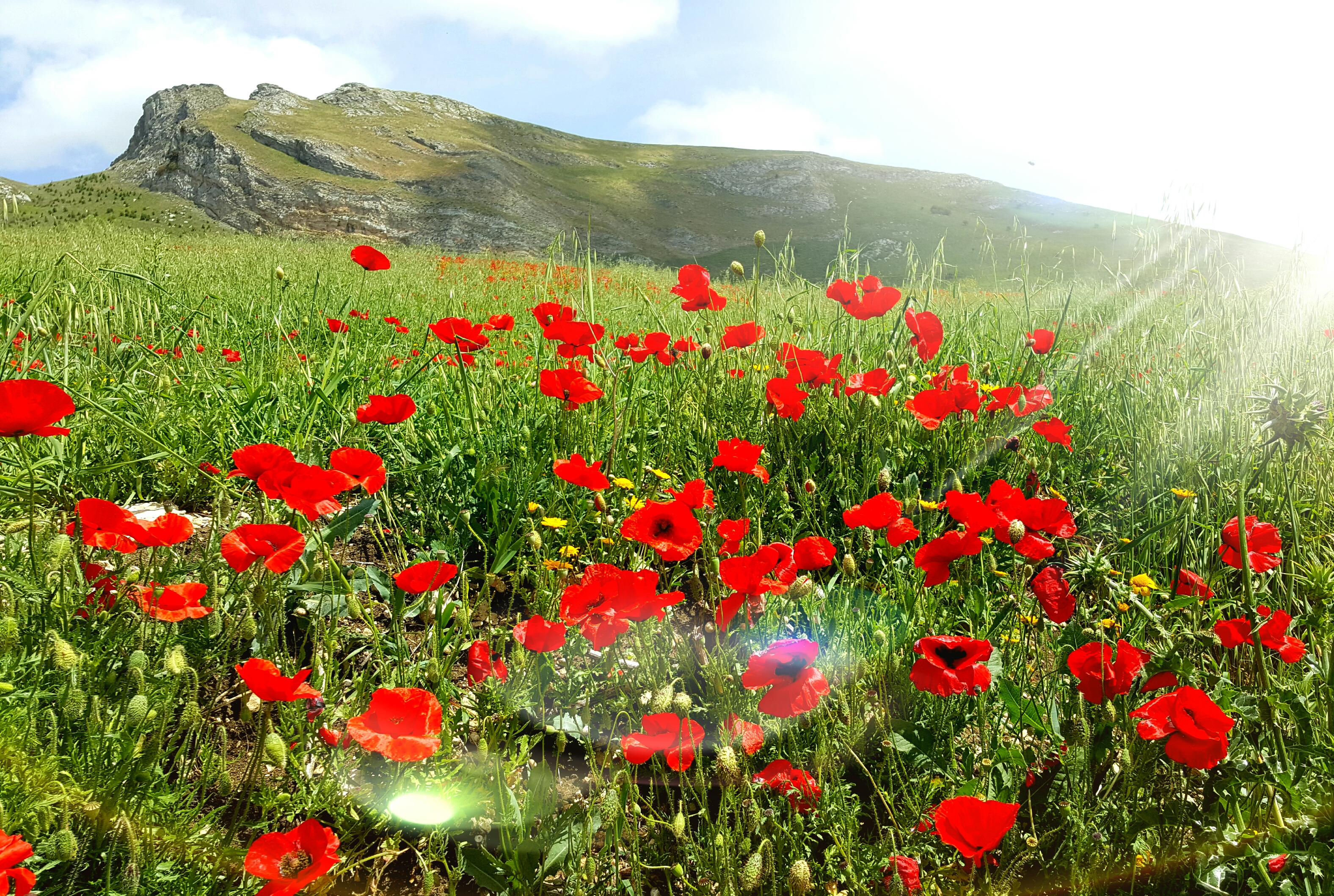 Omgeving Masseria Rossella