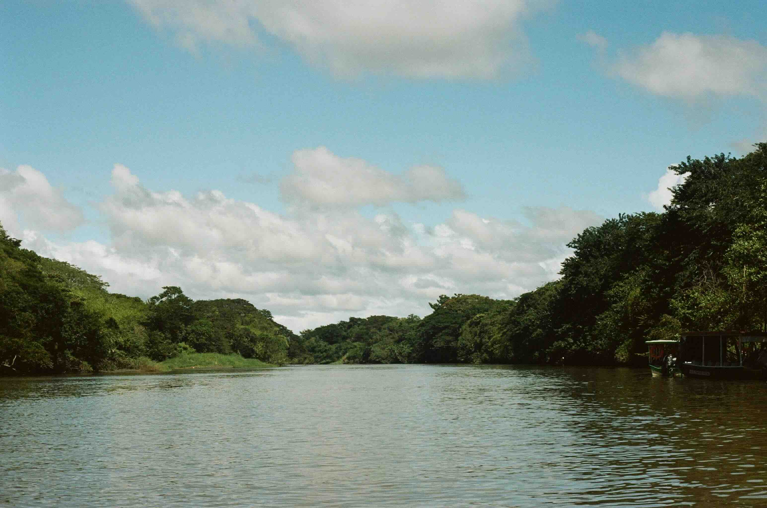 Puerto Viejo de Sarapiqu&iacute; &ndash; natuur