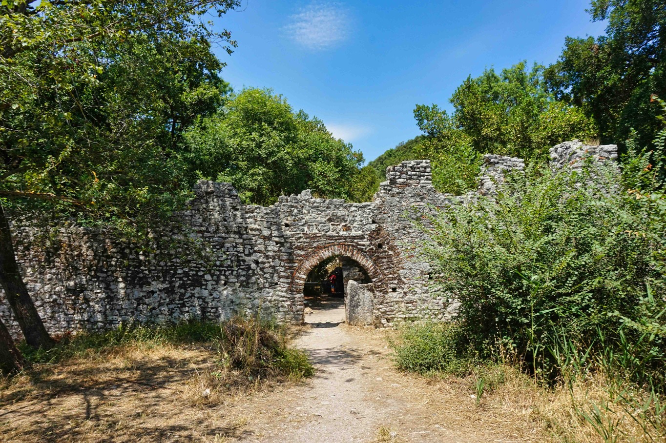 Boulevard met palmen