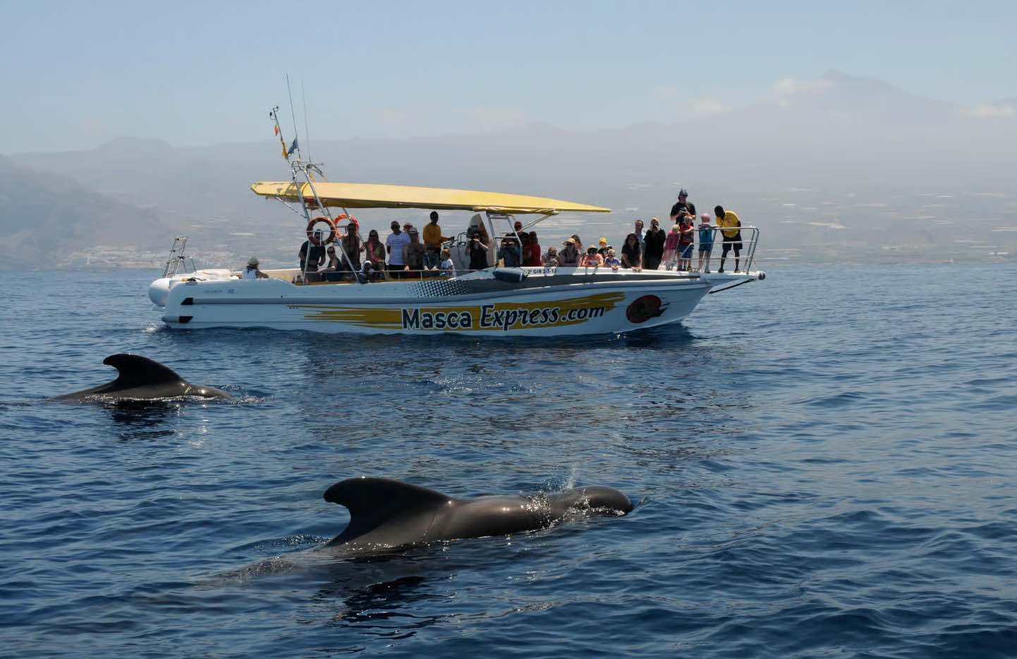 Zwemstop bij een baai