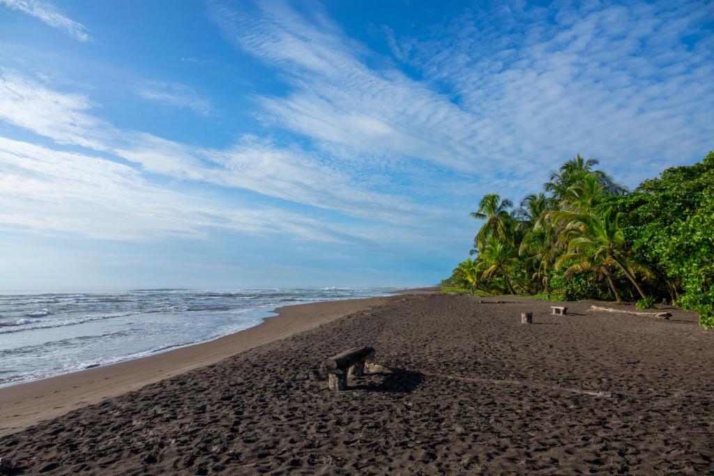 Tortuguero &ndash; landschap