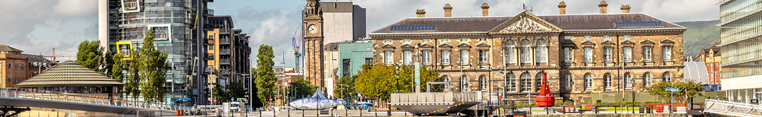 Stedentrip Belfast