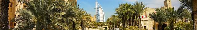 Vragen over stedentrips in Verenigde Arabische Emiraten?