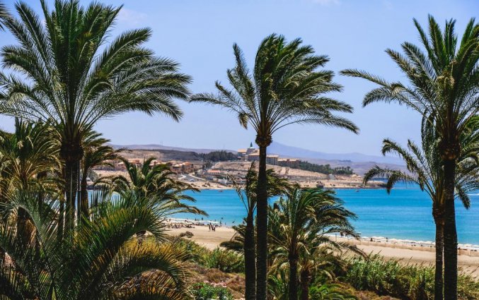 Uitzicht op zee van Appartementen Maryvent Beach op Fuerteventura