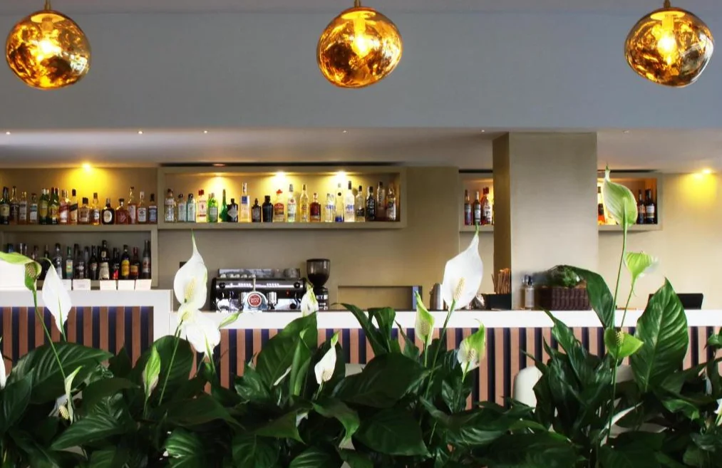 Água Hotels Mondim de Basto bar