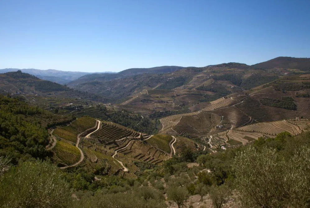 Hotel Rural da Quinta do Silval uitzicht
