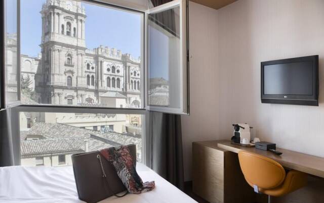 Uitzicht op de kathedraal van Malaga vanaf hotel Petit Palace Plaza Malaga