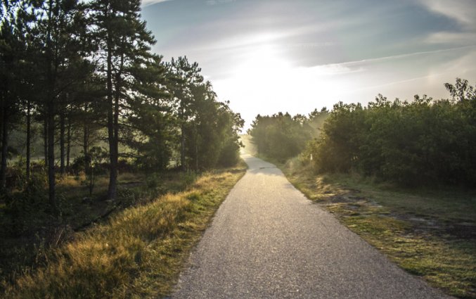 Waddeneilanden - Ameland Fietspad