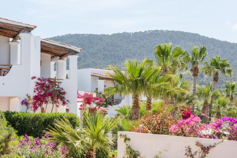 Petunia Ibiza - Adults Only