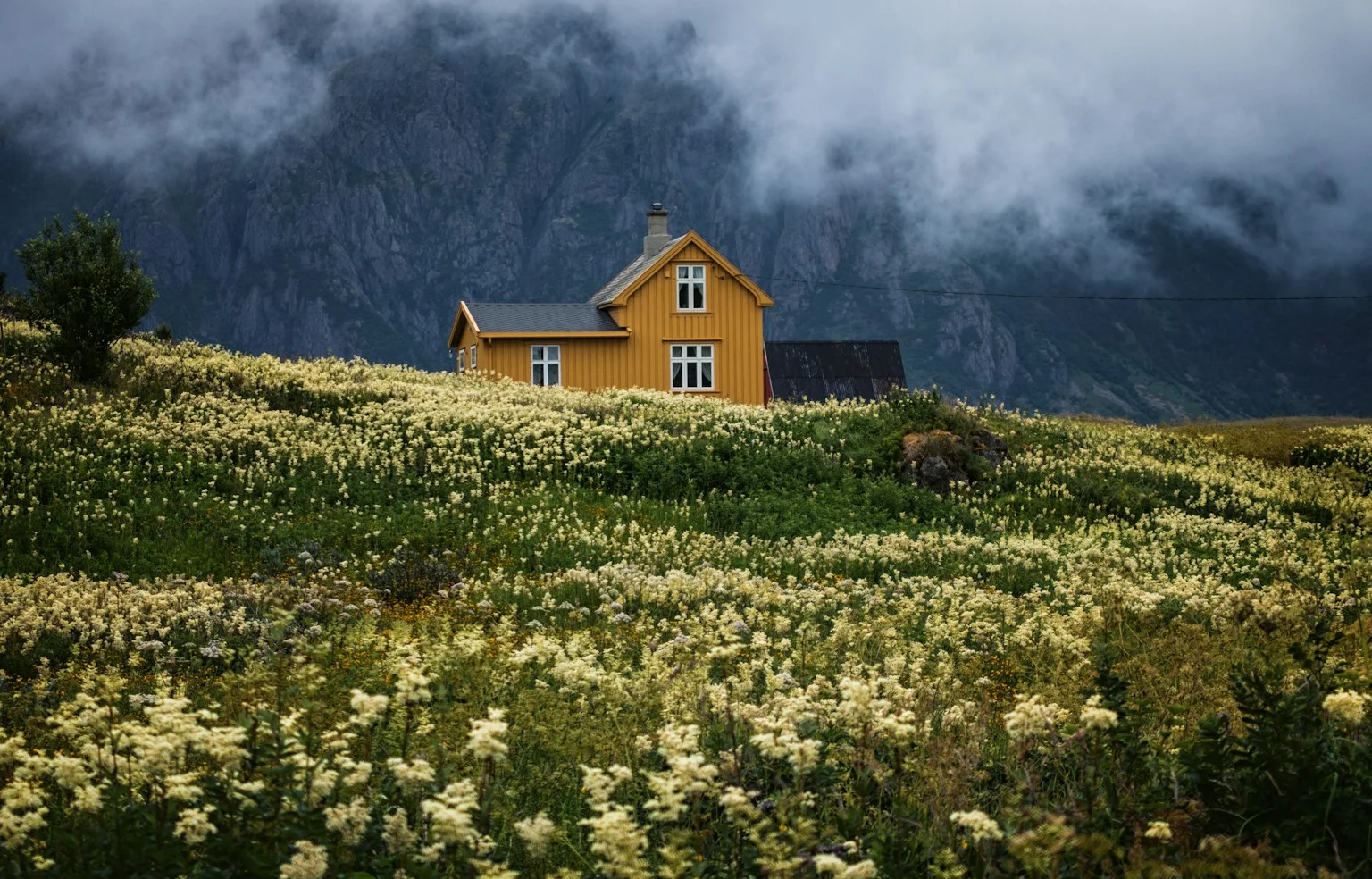 Ultieme Scandinavie8