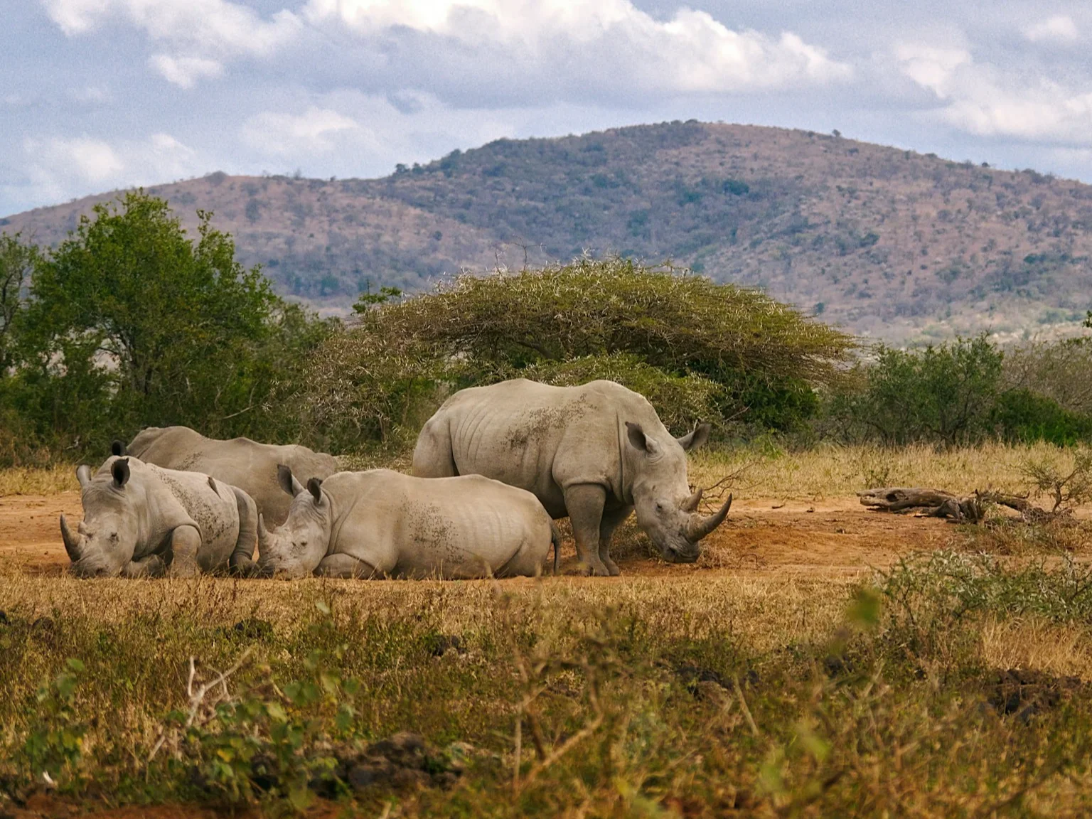 Rondreis Zuid-Afrika3
