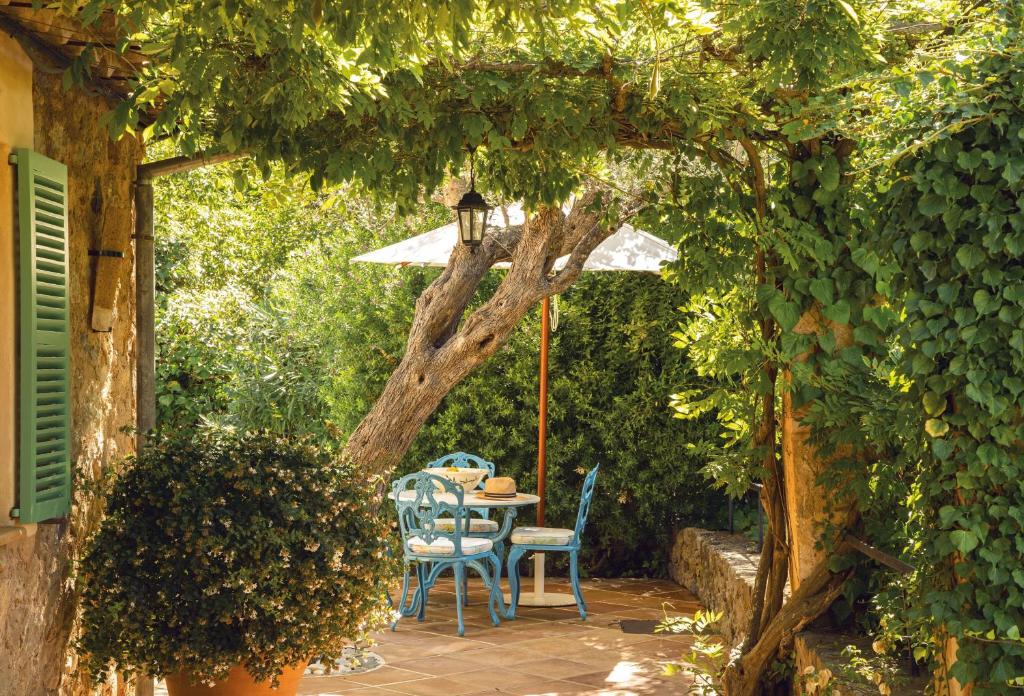 La Residencia, A Belmond Hotel - tuin met olijfbomen
