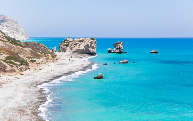CypruRots van Aphrodite